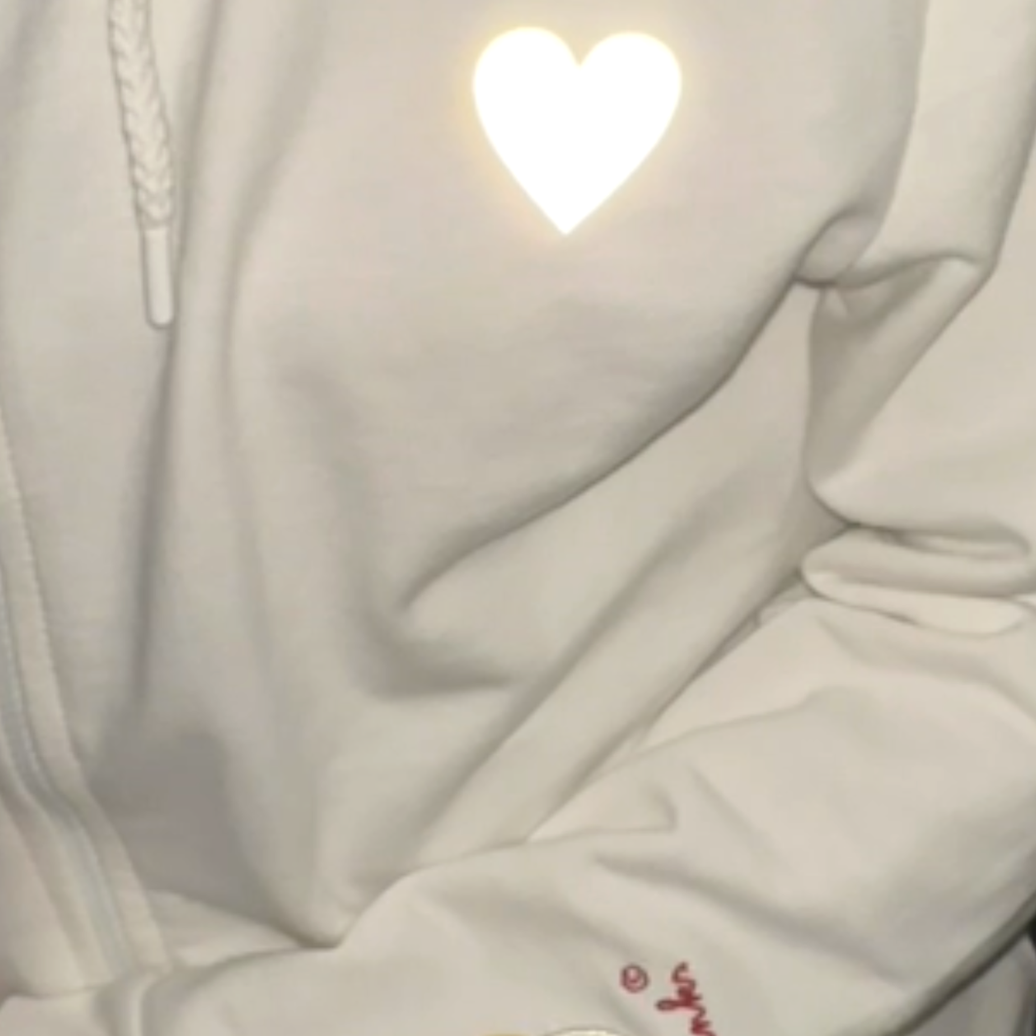 Erwachsenen Hoodie „Lefti Links“